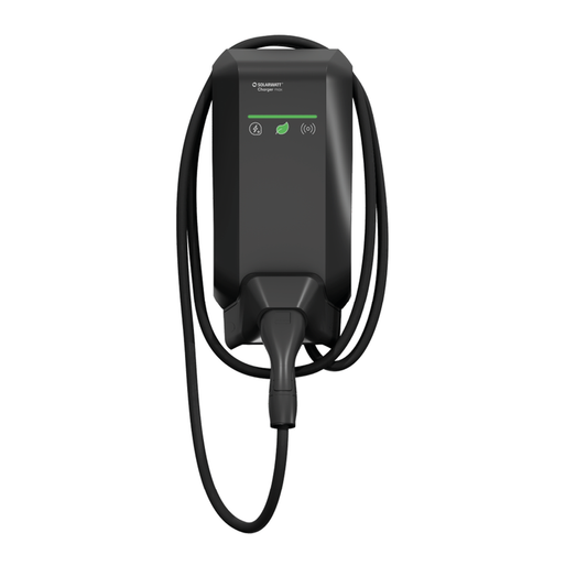 SOLARWATT Charger max 1.0 (22 kW, 6 m cable, ME)